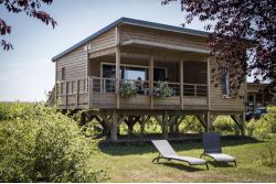 Fleckinger Cyrille OT Rhénan aout 2019 (267 sur 363) Fleckinger Cyrille OT Rhénan aout 2019 (267 sur 363)